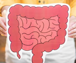 Foods to Avoid for Better Gut Health: An IBS Diet Guide