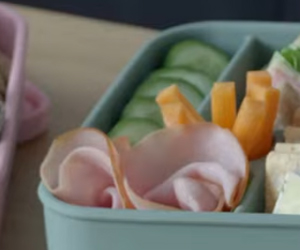 Travel Health: Expert Nutrition Tips for Energy