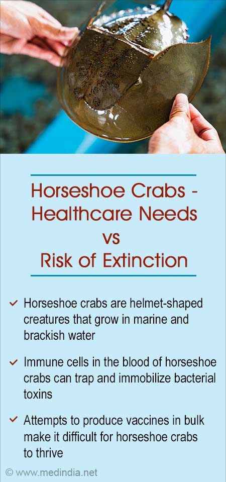 Blue of Horseshoe Crabs - A Silent Partner Who Ensures Vaccine Safety