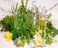 Home Grown Herbs for Holistic Nutrition                                                                                                                                                                 