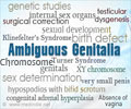 Ambiguous Genitalia                                                                                                                                                                                     