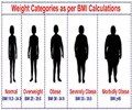 Body Mass Index 
