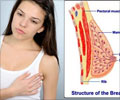 Breast Pain Symptom Evaluation