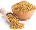 Fenugreek                                                                                                                                                                                               