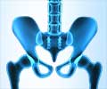 Pelvic Floor Health: Your Body´s Support Pelvic Floor Health: Your Body´s Support