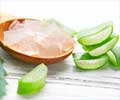 Aloe Vera - A Natural Medicine for Good Health                                                                                                                                                          