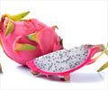 Top 10 Health Benefits of Dragon Fruit Top 10 Health Benefits of Dragon Fruit
