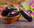 Health Benefits of Eggplant                                                                                                                                                                             
