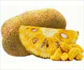 Health Benefits of Jackfruit
