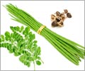 Moringa Moringa