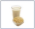 Soy or Soya  -  A Holy Food