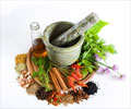 Top Ten Health Problems You can Solve with Herbs and Spices Top Ten Health Problems You can Solve with Herbs and Spices