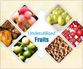 The Lesser Known Fruits with High Nutrition Value