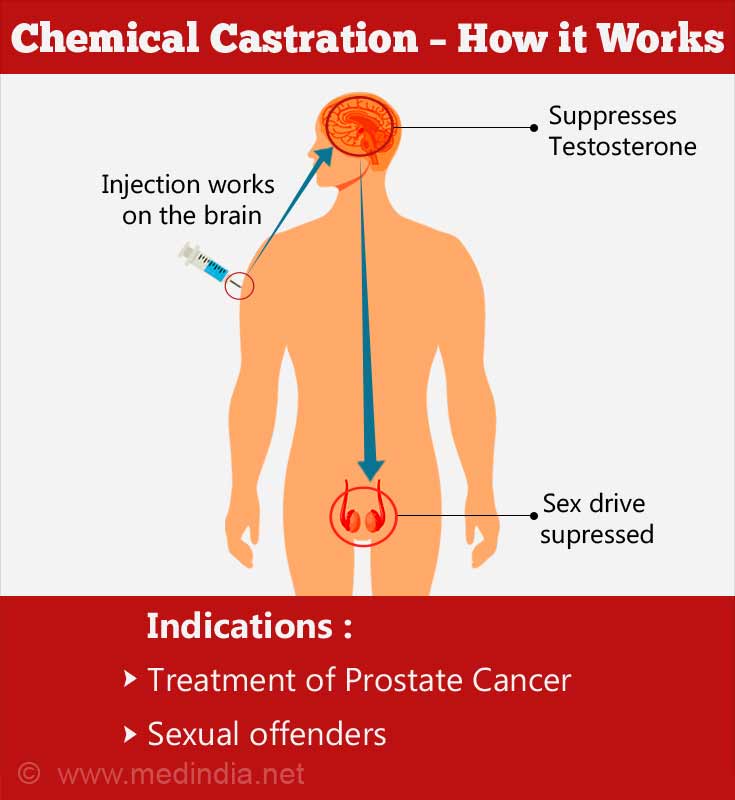 Chemical Castration: Working Process. 