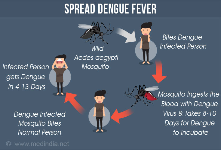 Spread Dengue Fever