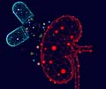 Quiz on Drugs that Cause Kidney Damage