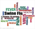 Quiz Yourself on Swine flu Quiz Yourself on Swine flu
