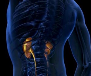 Best Bladder Friendly Drinks for Managing Urinary Incontinence