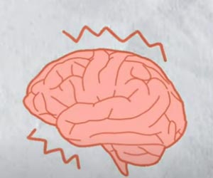 Test Your Brain Knowledge