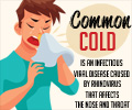 Common Cold - Infographic