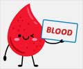 Know More About Blood