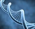 Test Your Knowledge On Cell Free DNA