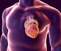 Test Your Knowledge on Coronary Heart Disease