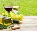Red or White Wine: What`s Better for Your Health
