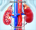 Adrenal Gland Disorders