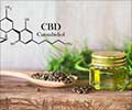 World of Cannabidiol (CBD): Uses, Benefits, and Precautions