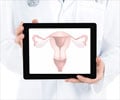 Ten Most Common Gynecological Problems Every Woman Must Know