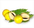 Health Benefits of Abiu Fruit