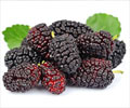 Health Benefits of Blackberries