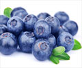 Health Benefits of Blueberries