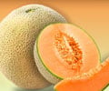 Cantaloupes - The Healthy Fruit
