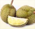 Health Benefits of Durian