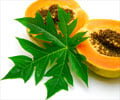 Health Benefits of Papaya Leaves