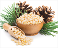 Top 6 Health Benefits of Pine Nuts