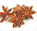 Health Benefits of Star Anise