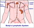 Hodgkins Lymphoma - Support Groups