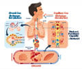 How Micro-gravity in Space Affects Our Lung Function