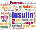 Insulin Hormone