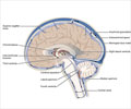 Intracranial Hypertension