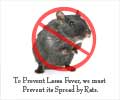 Lassa Fever / Lassa Hemorrhagic Fever