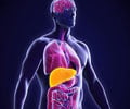 Common Types of Liver diseases leading to Liver Transplantation