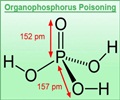 Organophosphorus Poisoning
