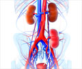 Paired Donor Exchange Kidney Transplantation