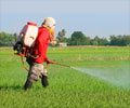 Pesticide Poisoning