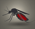 Malaria - Protection Strategies