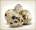 Eat Your Way to Good Health with Quail Eggs